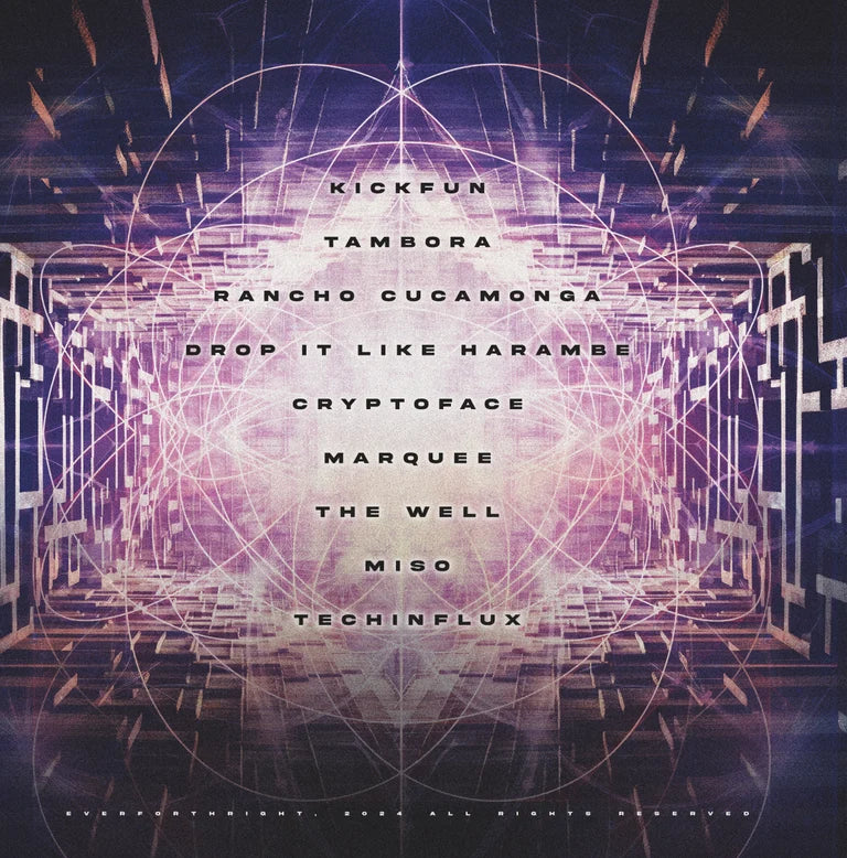Techinflux 2-LP Vinyl
